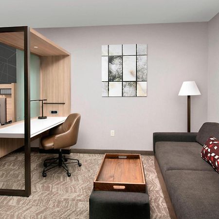 Springhill Suites By Marriott Albuquerque North/Journal Center Alameda Dış mekan fotoğraf
